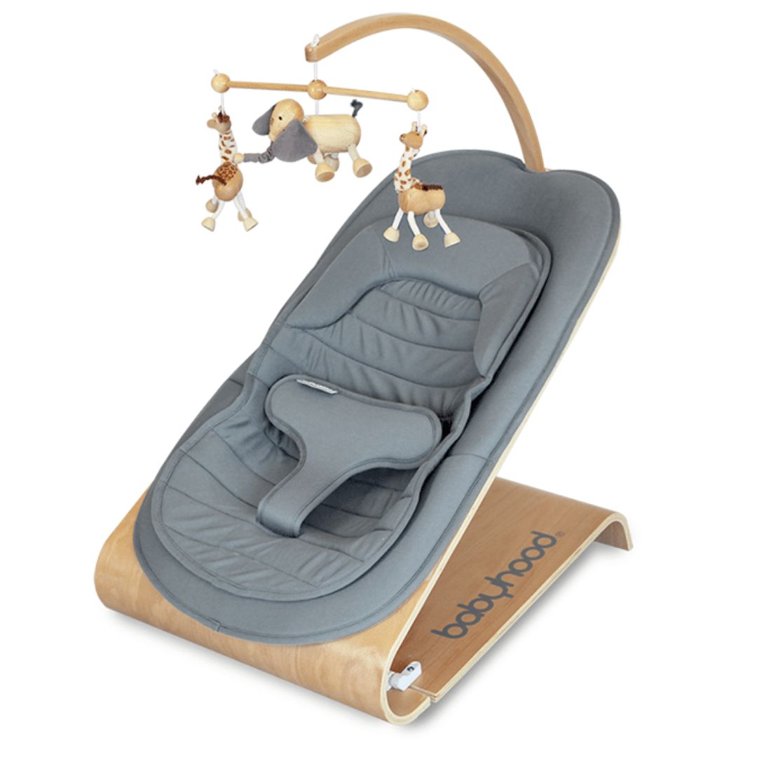 Babyhood Kaylula Tommer Bouncer available at Bear & Moo