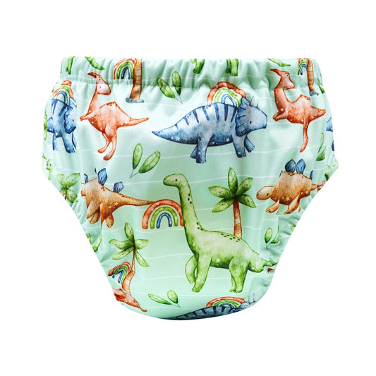 Bear & Moo Reusable Training Nappies | Jurassic Print