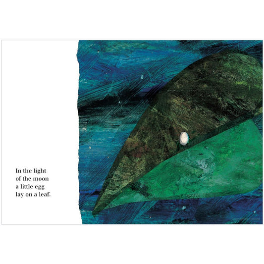 The Very Hungry Caterpillar book by Eric Carle available at Bear & Moo