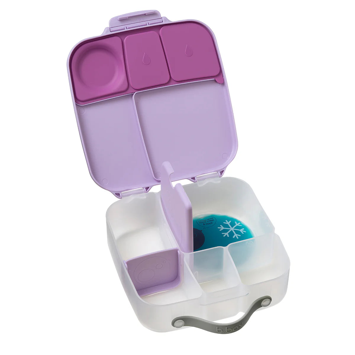 b.box Lunchbox in Sugar Plum | b.box lunchboxes available at Bear & Moo