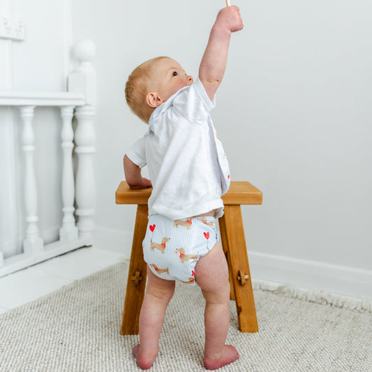 Sausage Dog Cloth Nappy | One Size Fits Most