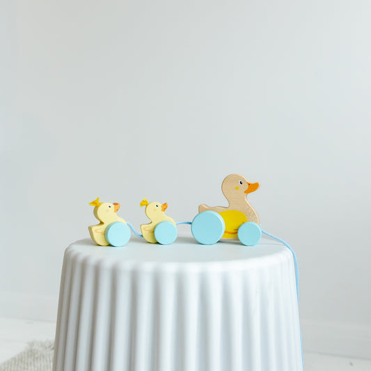 Wooden Pull Along Duck Family