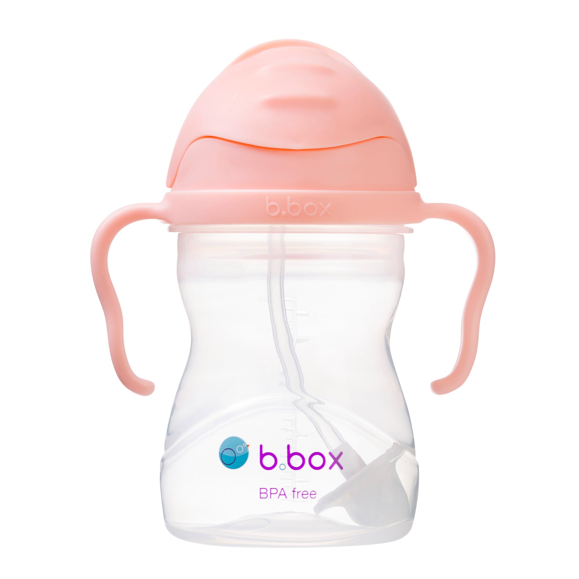 b.box Sippy Cup in Tutti Frutti available at Bear & Moo