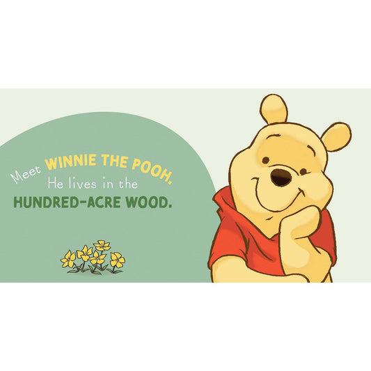 Disney 100 Meet Winnie the Pooh available at Bear & Moo