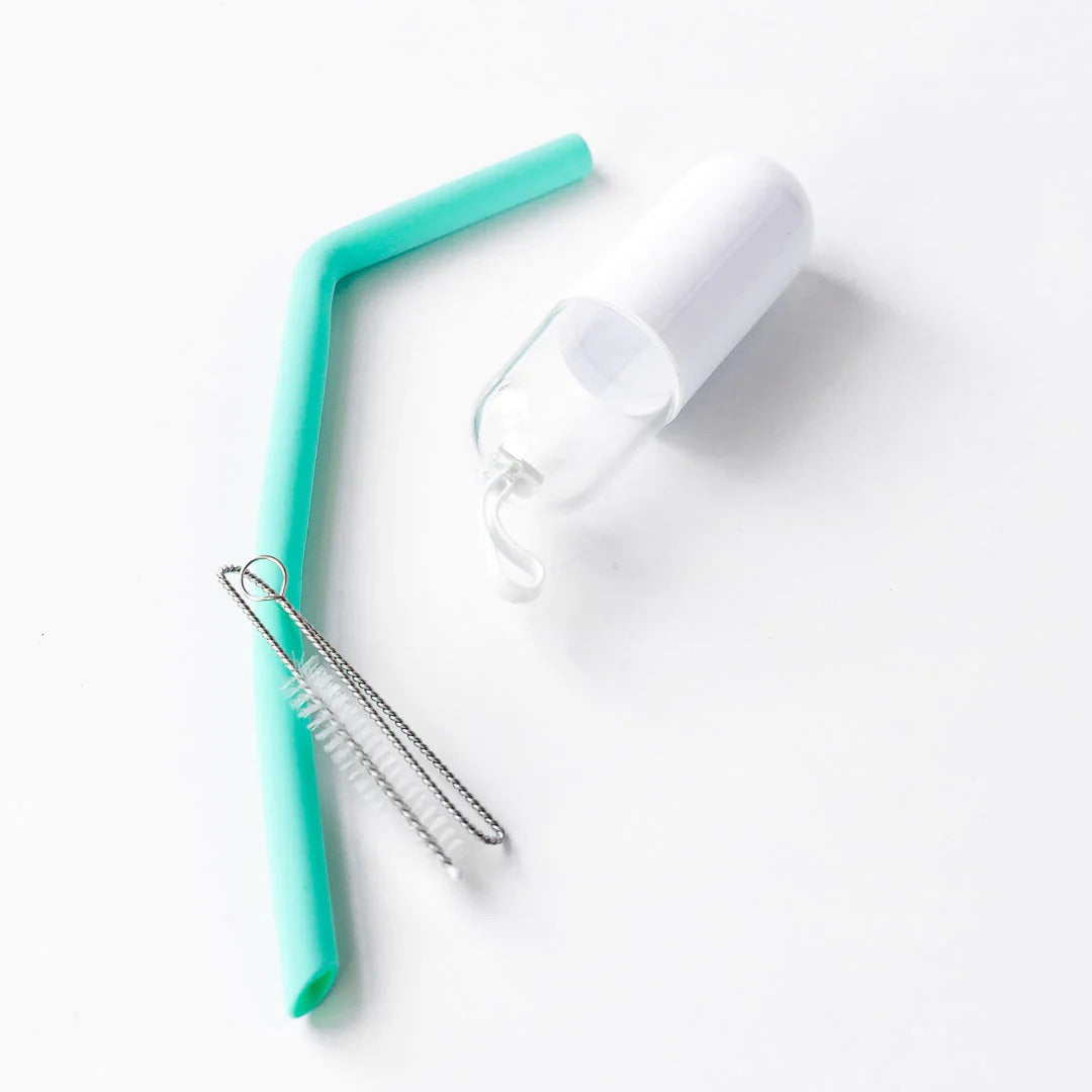The Little Giants Travel Aqua Straw and Case available at Bear & Moo