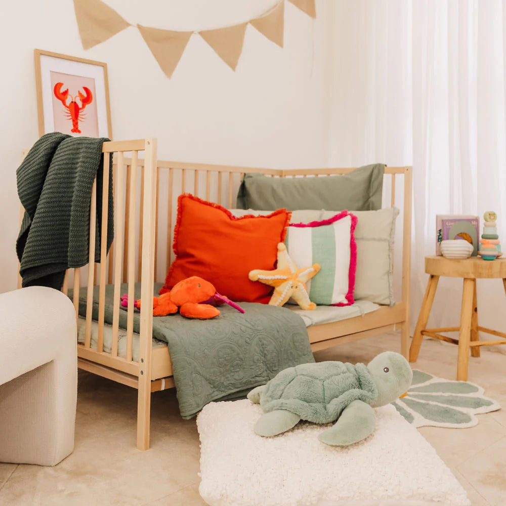 Bubble Toby the Turtle available at Bear & Moo