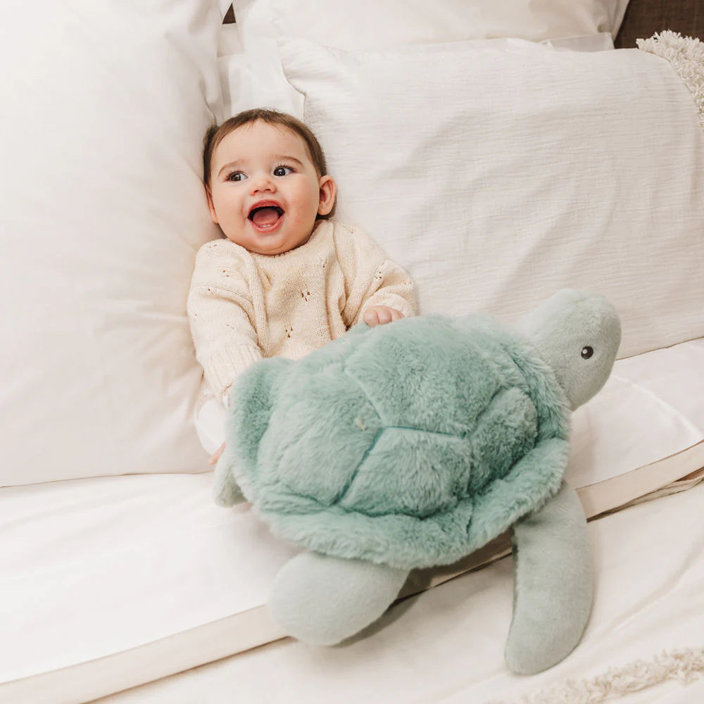 Bubble Toby the Turtle available at Bear & Moo