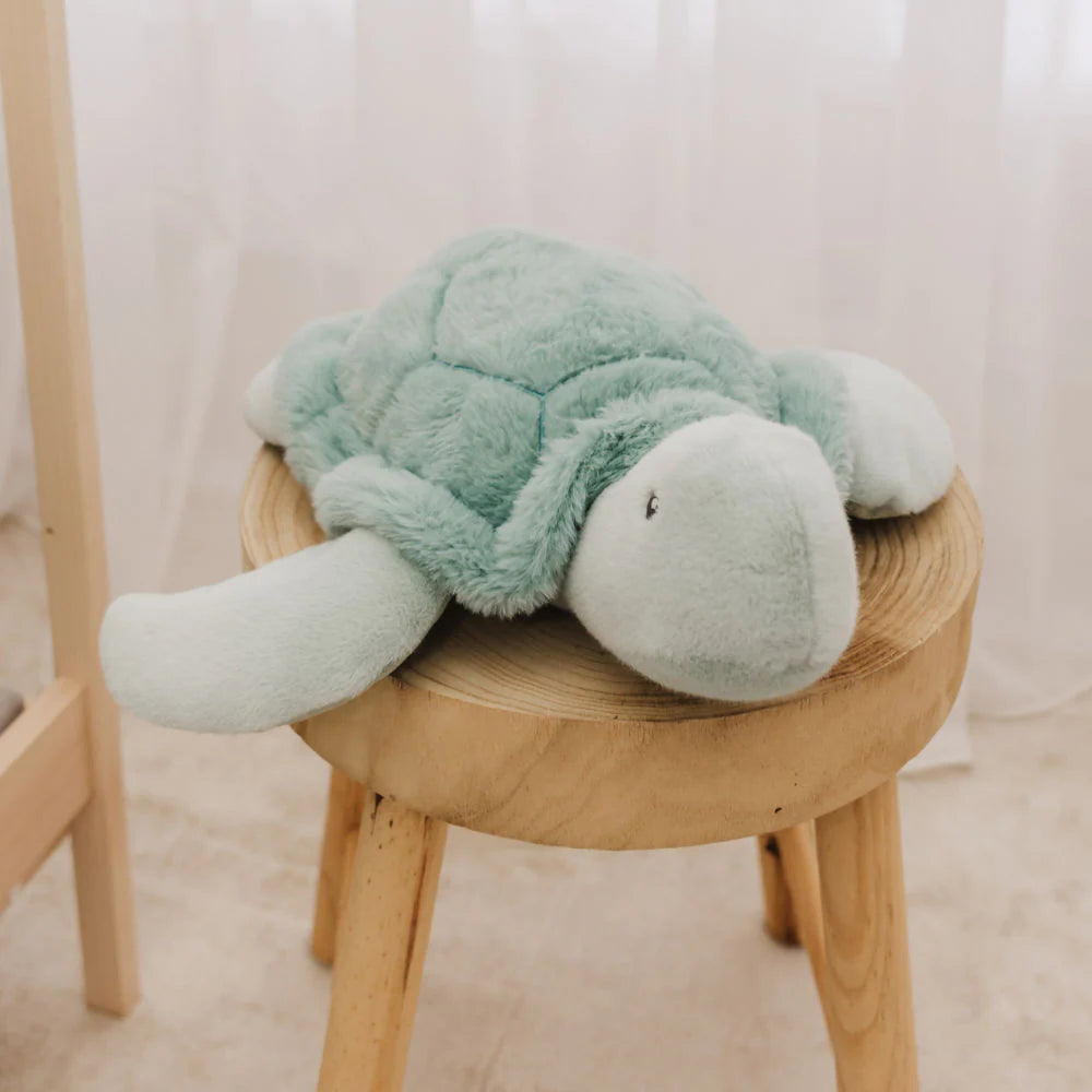 Bubble Toby the Turtle available at Bear & Moo