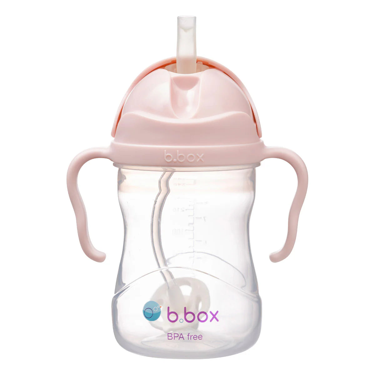 b.box Transition Value Drink Bottle & Lids Pack available at Bear & Moo