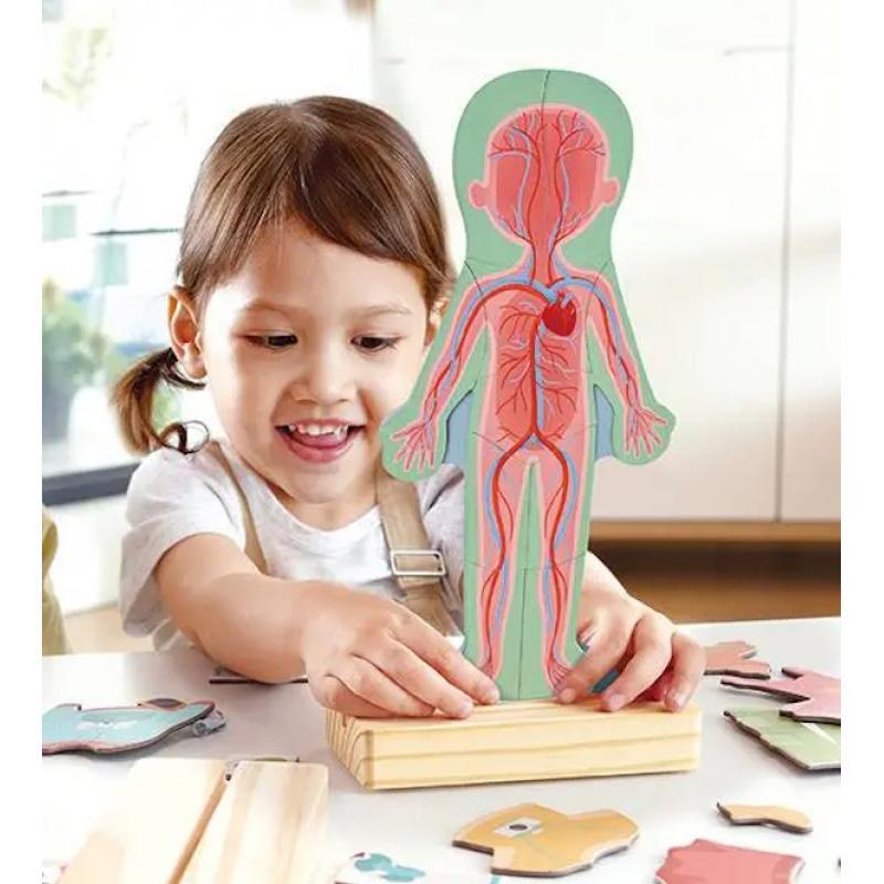 Human Body Magnetic Puzzle