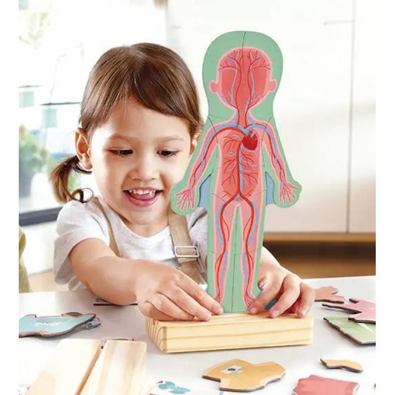 Hape Human Body Magnetic Puzzle available at Bear & Moo