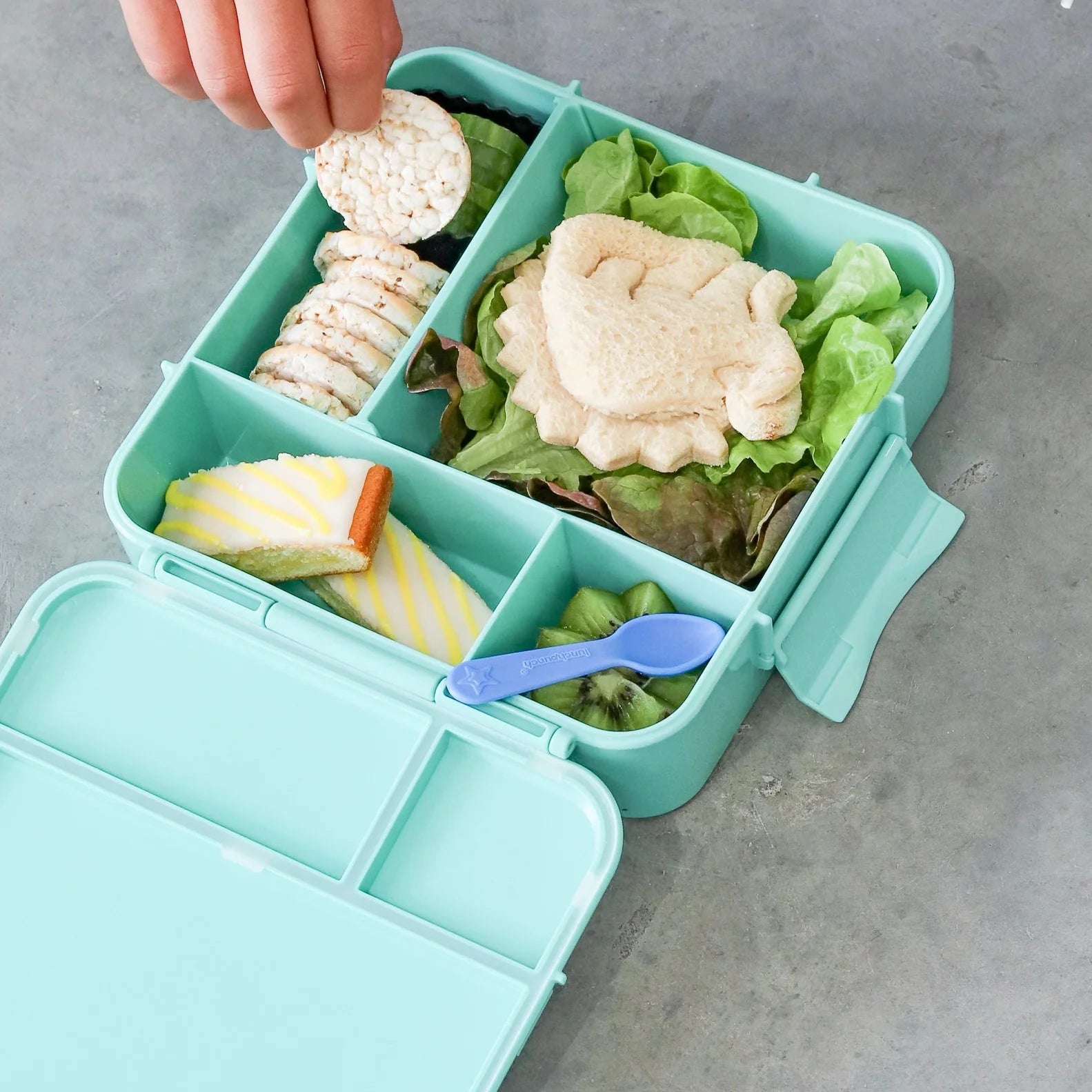 Montii Bento PLUS Lunch Box available at Bear & Moo