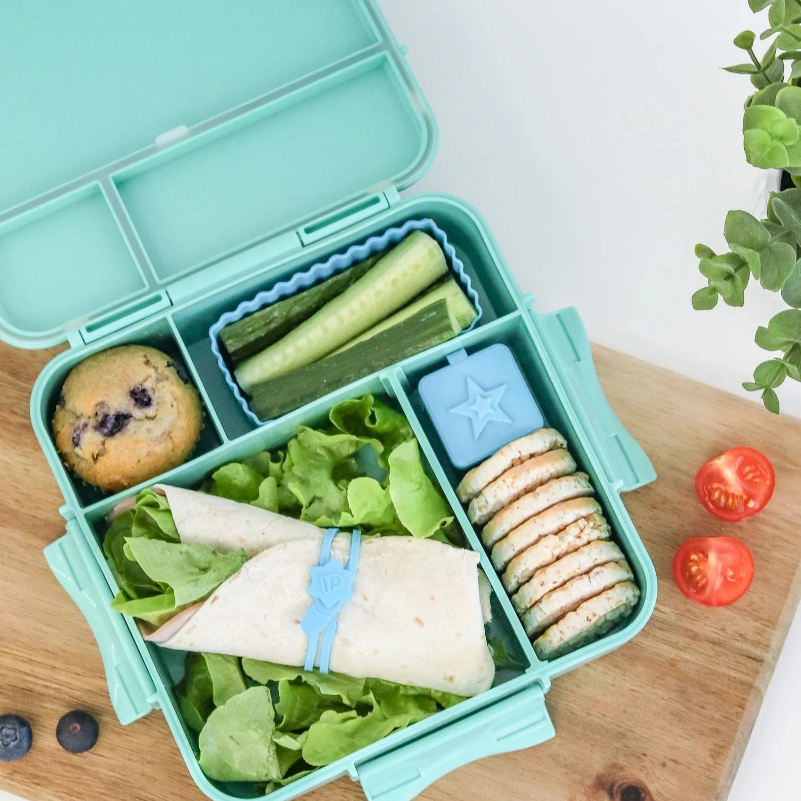 Montii Bento PLUS Lunch Box available at Bear & Moo