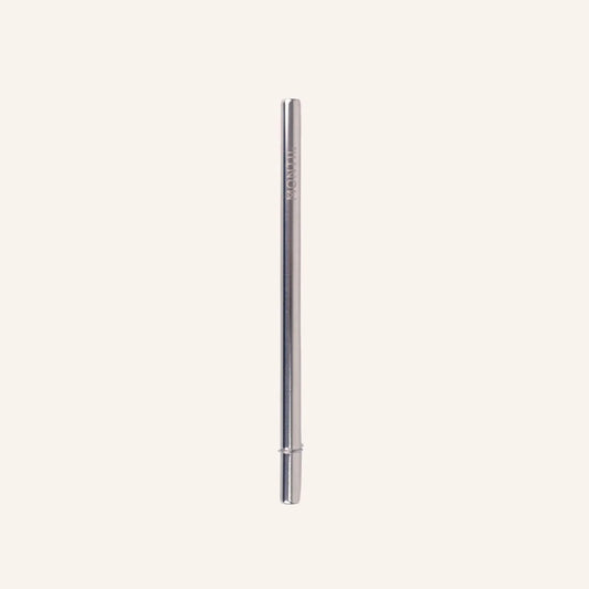 Fusion Smoothie Straw | Stainless Steel