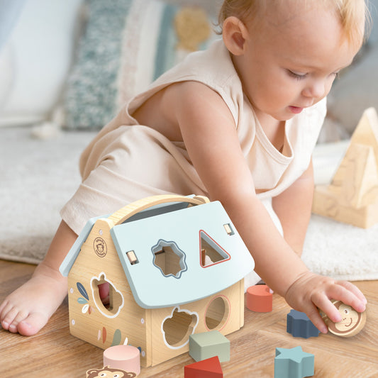 Speedy Monkey House Shape Sorter available at Bear & Moo