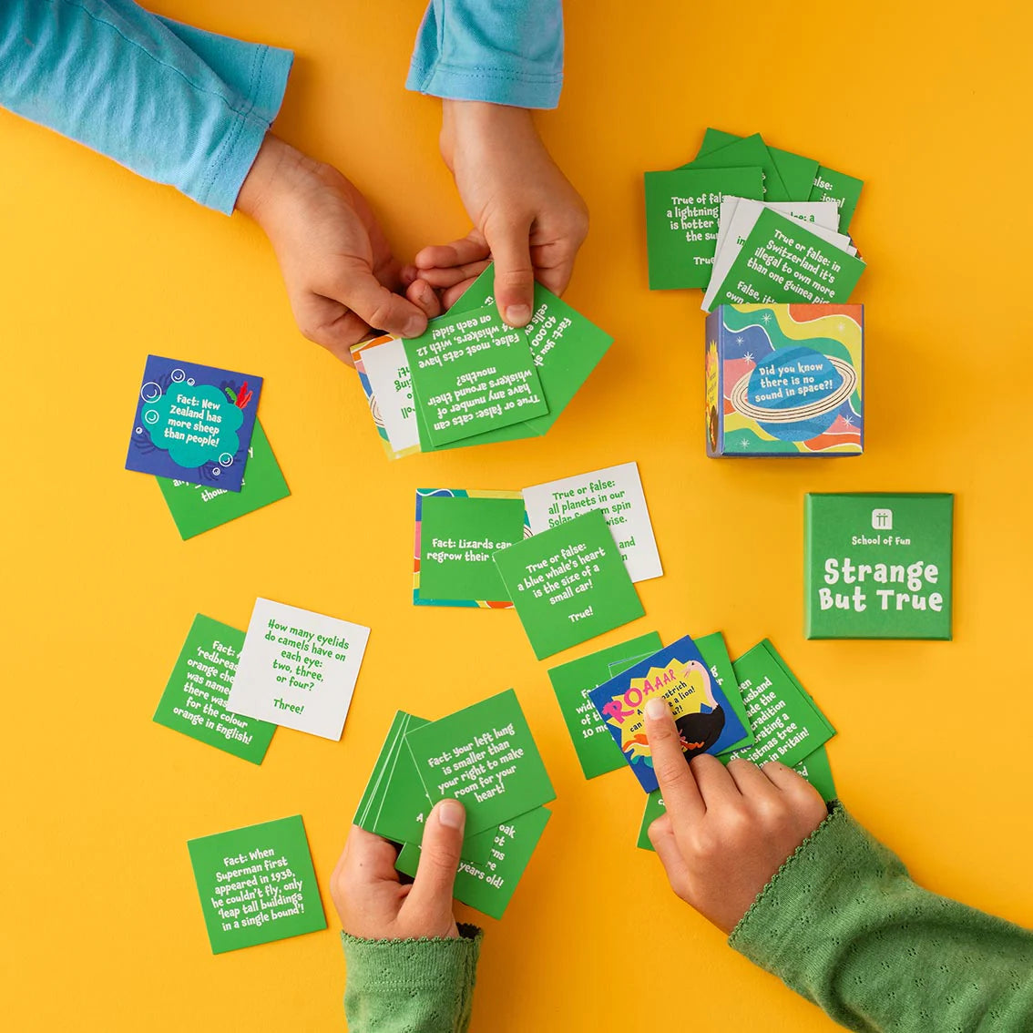 You Monkey Strange But True Trivia Box available at Bear & Moo