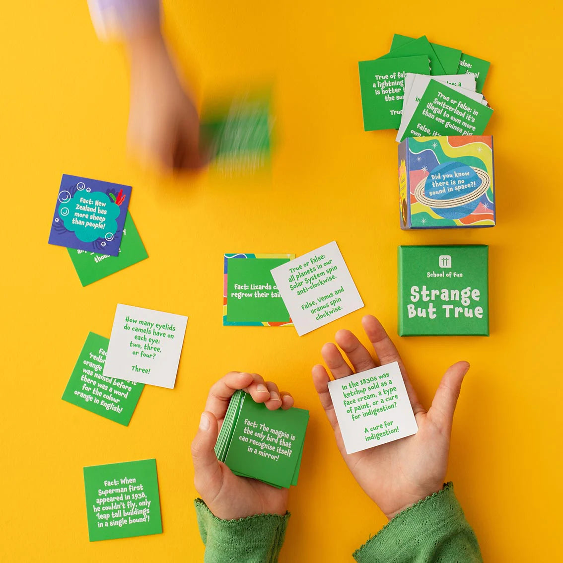 You Monkey Strange But True Trivia Box available at Bear & Moo