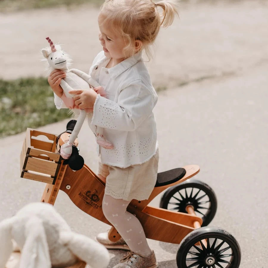 Kinderfeets 2-in-1 Tiny Tot Plus | Kids Trike available at Bear & Moo