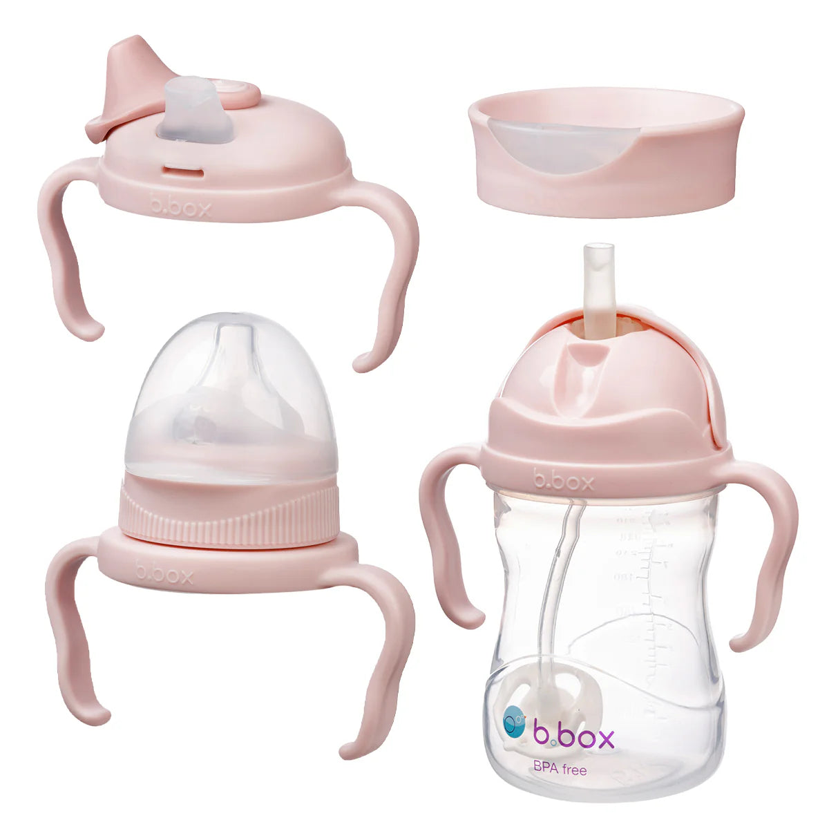 b.box Transition Value Drink Bottle & Lids Pack available at Bear & Moo