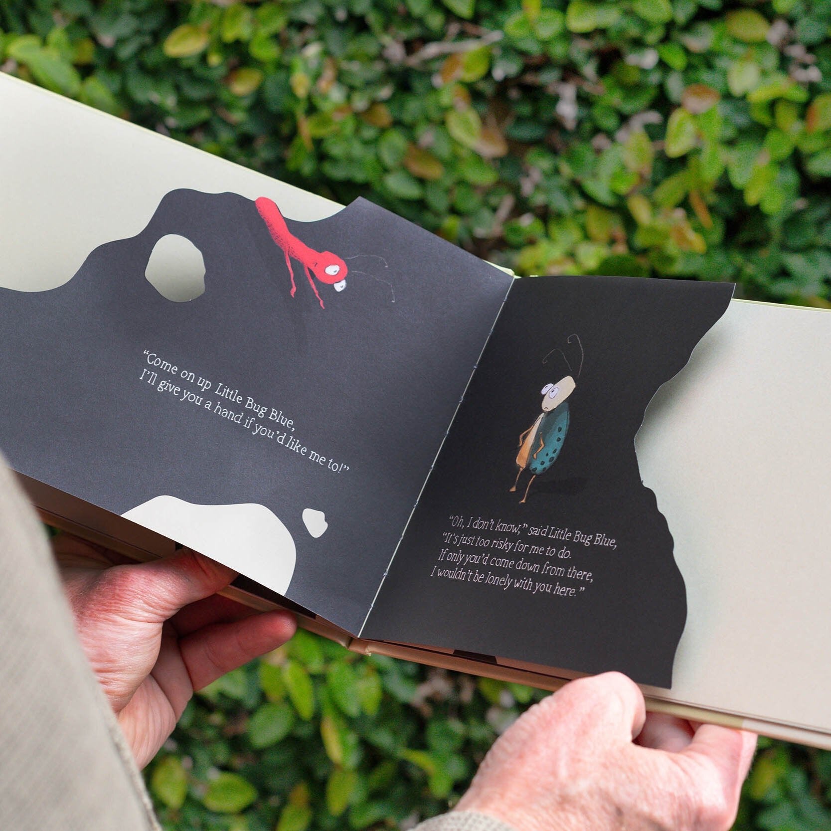 Two Little Bugs Paperback Book by Dreamboat Books | Mark & Rowan Sommerset available at Bear & Moo