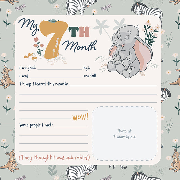 Disney Baby Book | My First 3 Years available at Bear & Moo