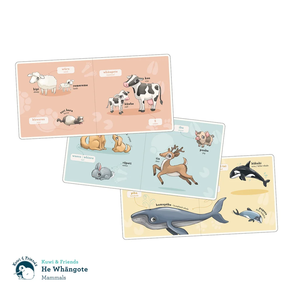 He Whāngote | Mammals available at Bear & Moo