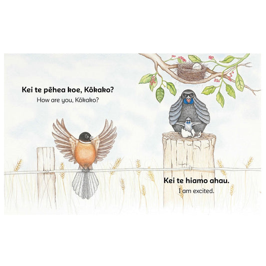 Kare a-roto - Feelings by Kitty Brown & Kirsten Parkinson available at Bear & Moo