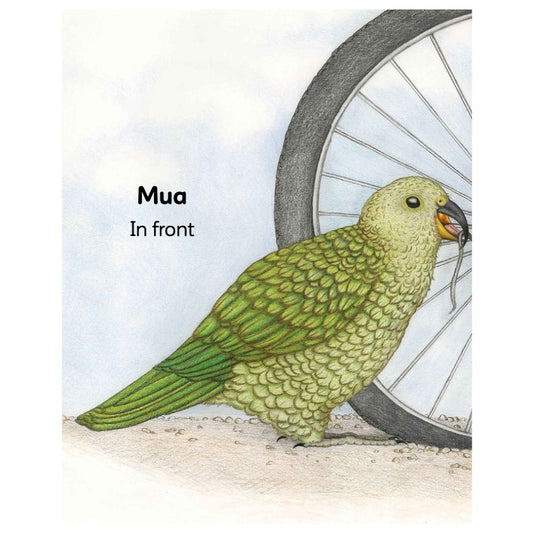 Kupu Tauaro - Opposites by Kitty Brown and Kirsten Parkinson available at Bear & Moo
