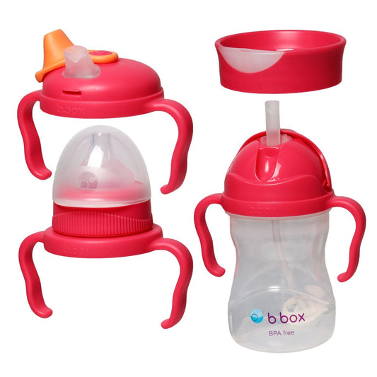 b.box Transition Value Drink Bottle and Lid Pack in Raspberry available at Bear & Moo